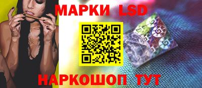стафф Будённовск