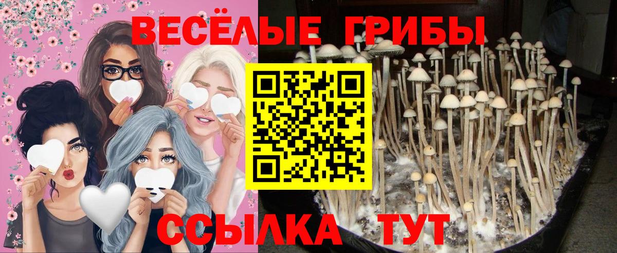 Прокопьевск  Галлюциногенные грибы мицелий  Вход с VPN 