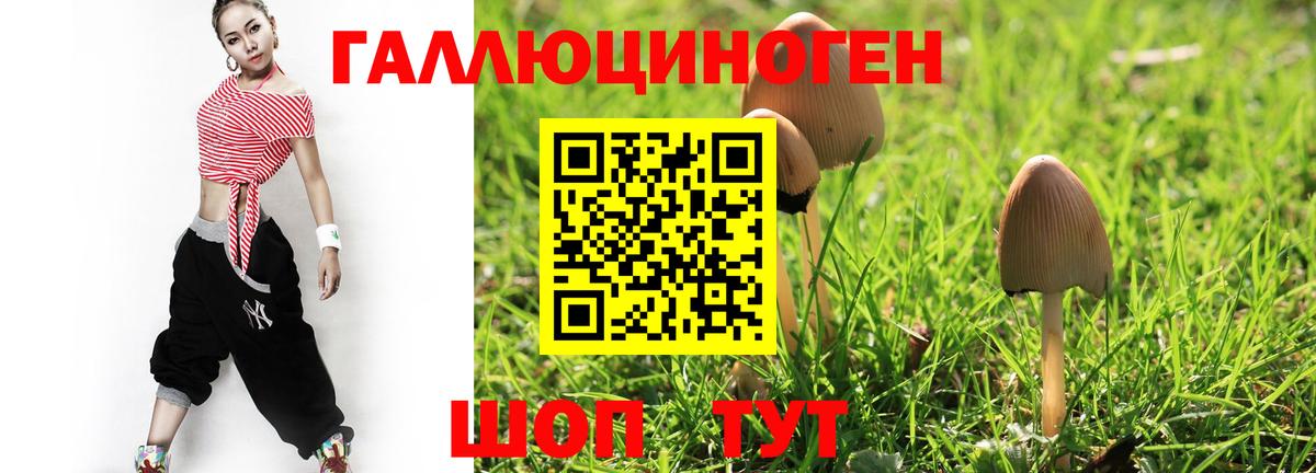 Галлюциногенные грибы прущие грибы Прокопьевск